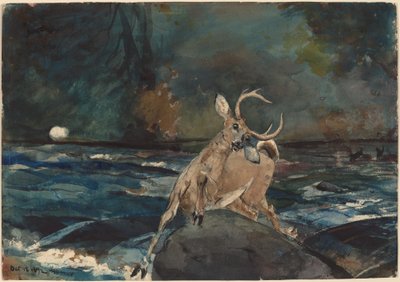 Ein guter Schuss, Adirondacks von Winslow Homer