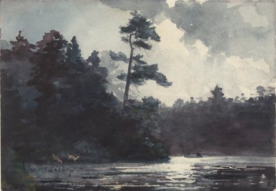 Adirondack-See von Winslow Homer
