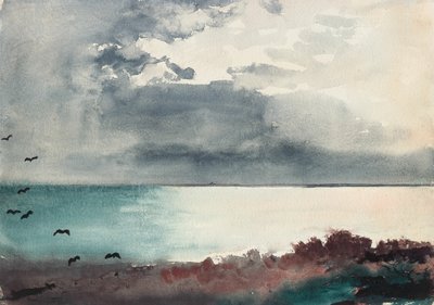 Sturm bricht los, Küste von Maine von Winslow Homer