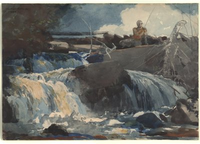 Angeln in den Wasserfällen von Winslow Homer