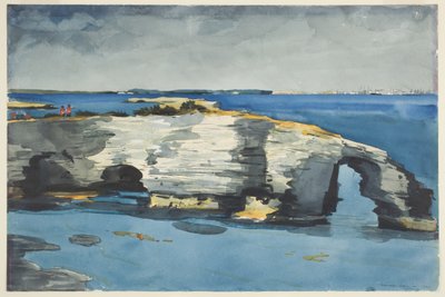 Korallenformation von Winslow Homer