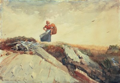 Den Abhang hinunter, 1883 von Winslow Homer