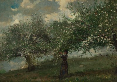 Mädchen, das Apfelblüten pflückt von Winslow Homer