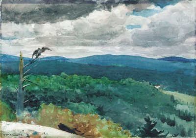 Hügelige Landschaft, 1894 von Winslow Homer
