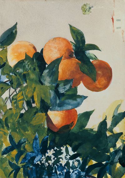 Orangen an einem Zweig, 1885 von Winslow Homer