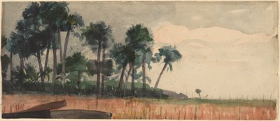 Palmen, rot von Winslow Homer