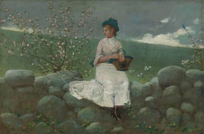 Pfirsichblüten von Winslow Homer
