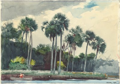 Rotes Hemd, Homosassa, Florida von Winslow Homer