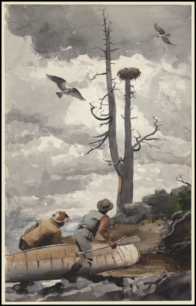 Das Nest des Adlers, 1902 von Winslow Homer