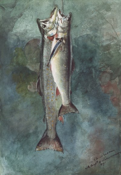 Zwei Forellen von Winslow Homer
