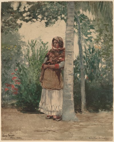 Unter einer Palme von Winslow Homer