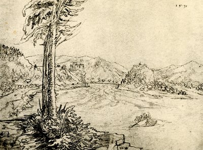 Die Donauwirbel bei Grein von Wolf Huber