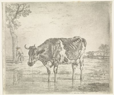 Trinkende Kuh von Wouter Johannes van Troostwijk