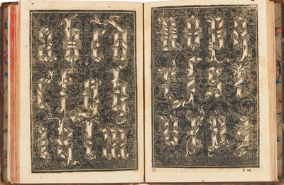 Recopilacion subtilissima, intitulada Orthographia practica, 1548 von Yciar