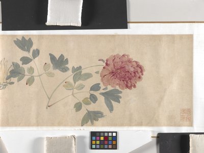 Bunte Blumen von Zhimian Zhou
