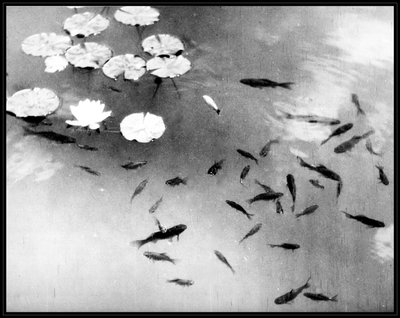 Fische und Seerosen, Alhambra-Palast, Granada, Spanien von . .