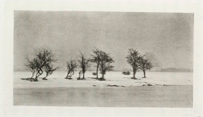 Knotige Dornbäume von Frederick (attr. to) Barnard