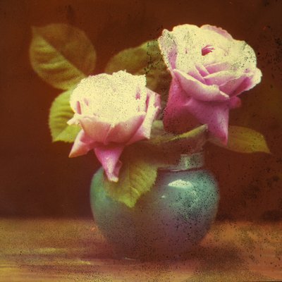 Rosen von Frederick (attr. to) Barnard