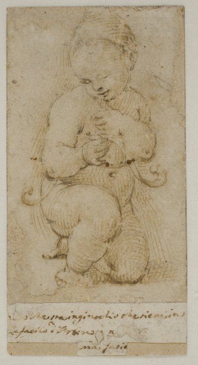 Das Kind Johannes der Täufer von after Raphael