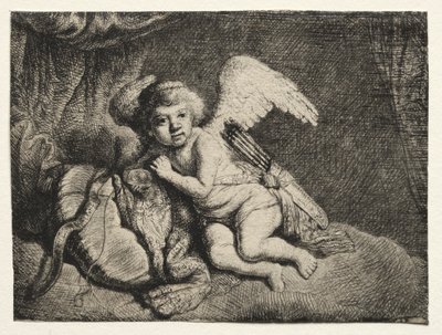 Ruhender Amor von after Rembrandt van Rijn