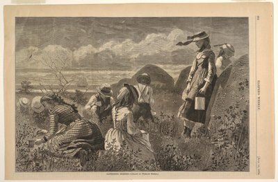 Beeren sammeln von after Winslow Homer