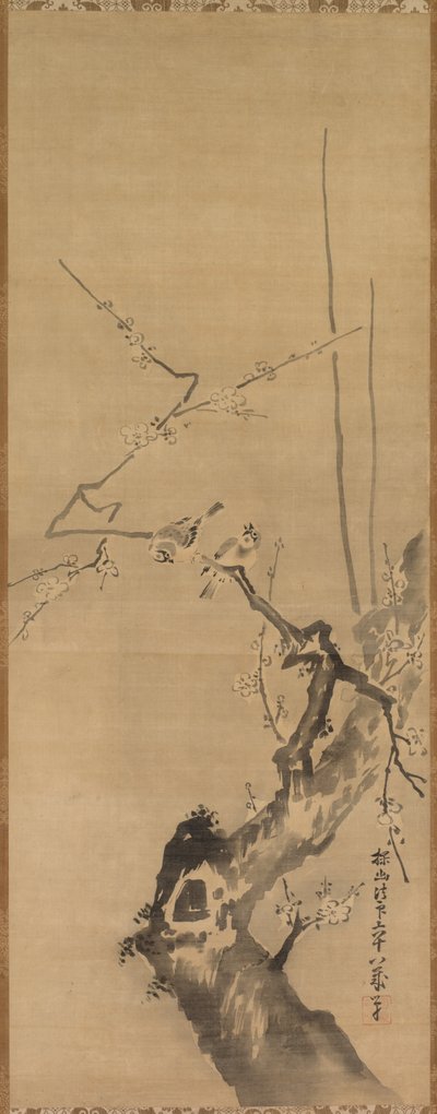 Spatzen auf blühendem Pflaumenbaum von attributed to Kano Tan’yū