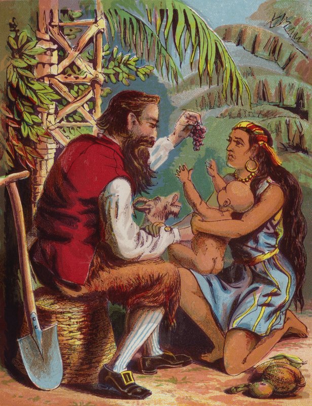 Illustration für Robinson Crusoe von American School