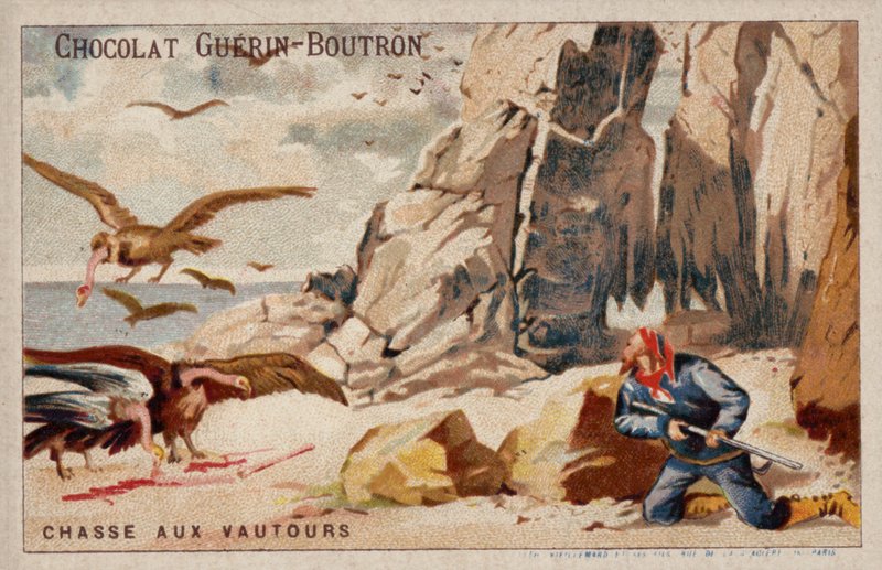 Geierjagd von French School