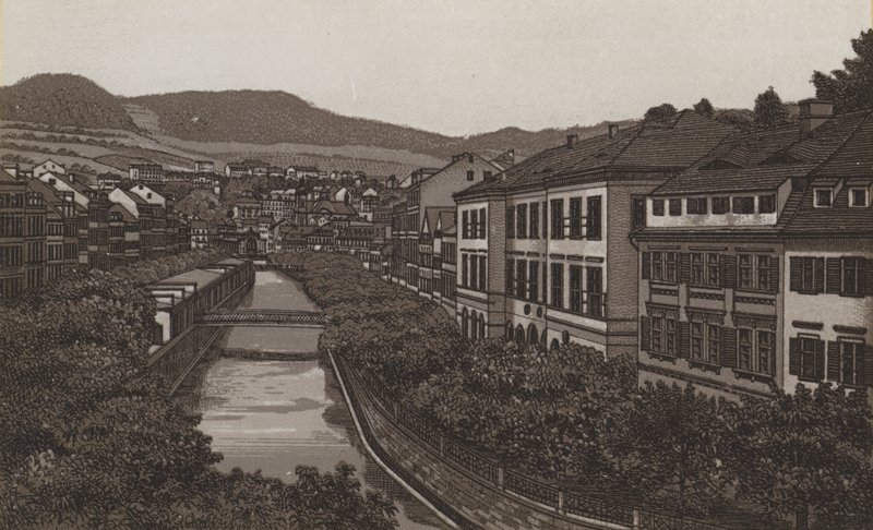 Alte und Neue Wiese von German School