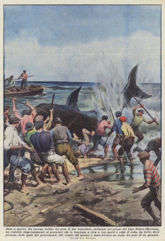 Schwer zu töten von Achille Beltrame