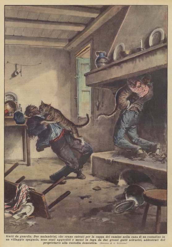 Wachkatzen von Achille Beltrame