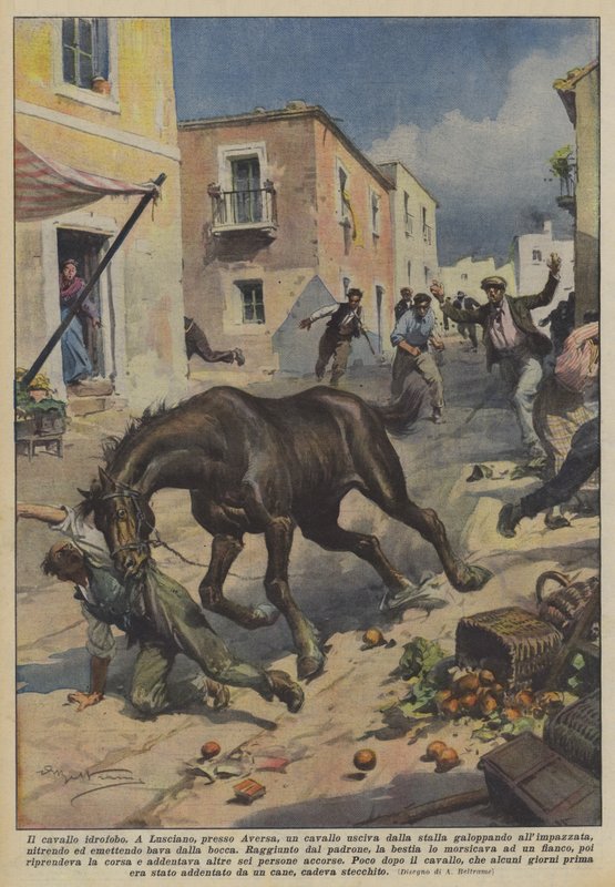 Das tollwütige Pferd von Achille Beltrame
