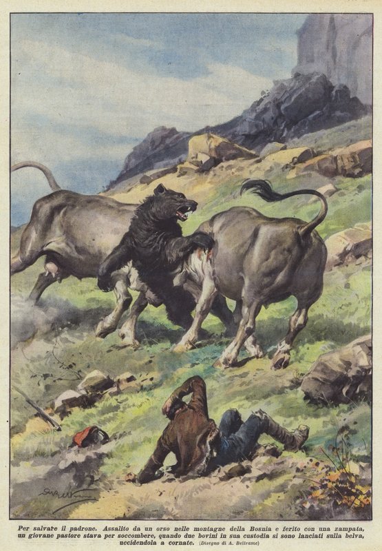 Um den Herrn zu retten von Achille Beltrame
