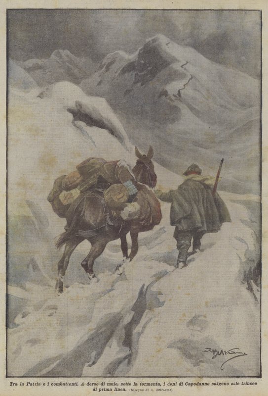 Zwischen Heimat und Kämpfern von Achille Beltrame