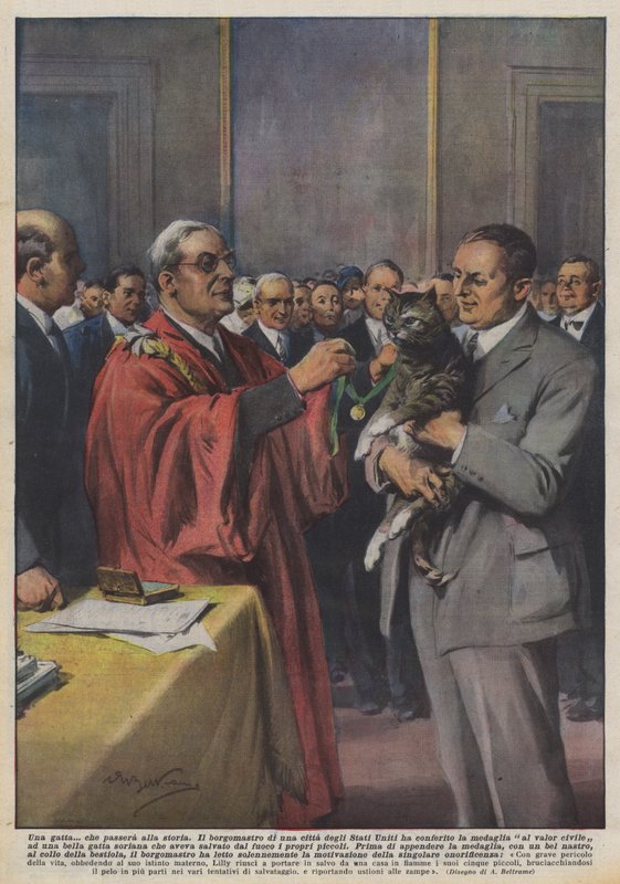 Eine Katze, die in die Geschichte eingehen wird von Achille Beltrame