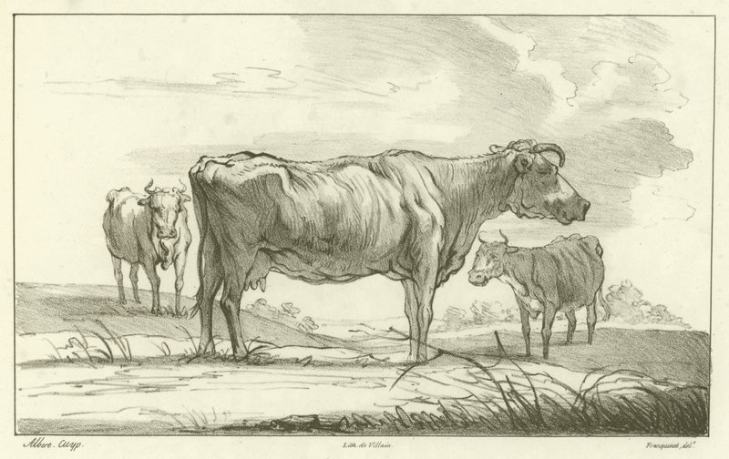 Drei Kühe von Aelbert Cuyp