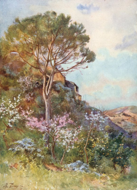 In der Nähe von Calatafimi von Alberto Pisa