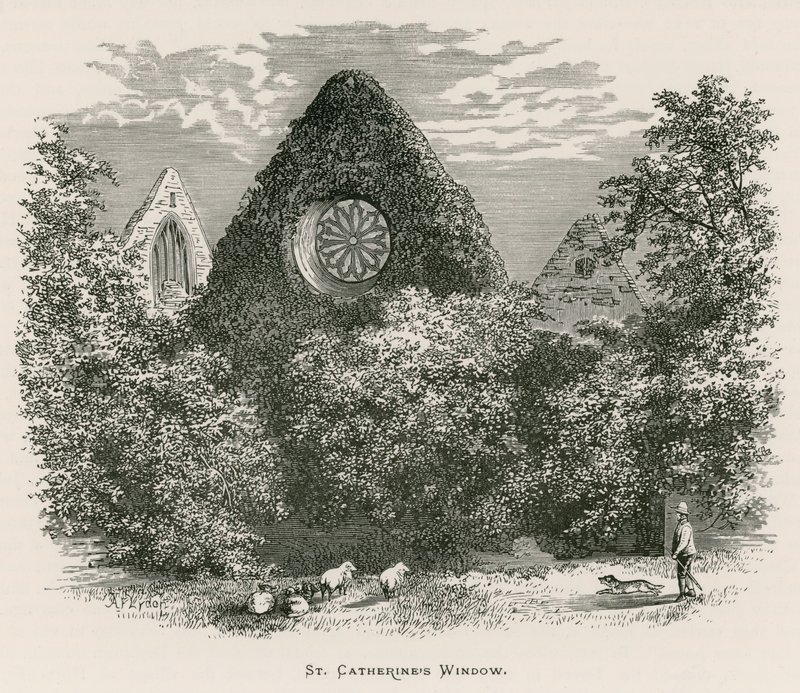 Dryburgh Abbey, St. Catherines Fenster von Alexander Francis Lydon