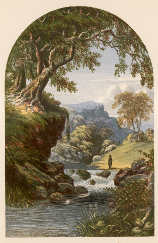 Illustration für Bryants 
