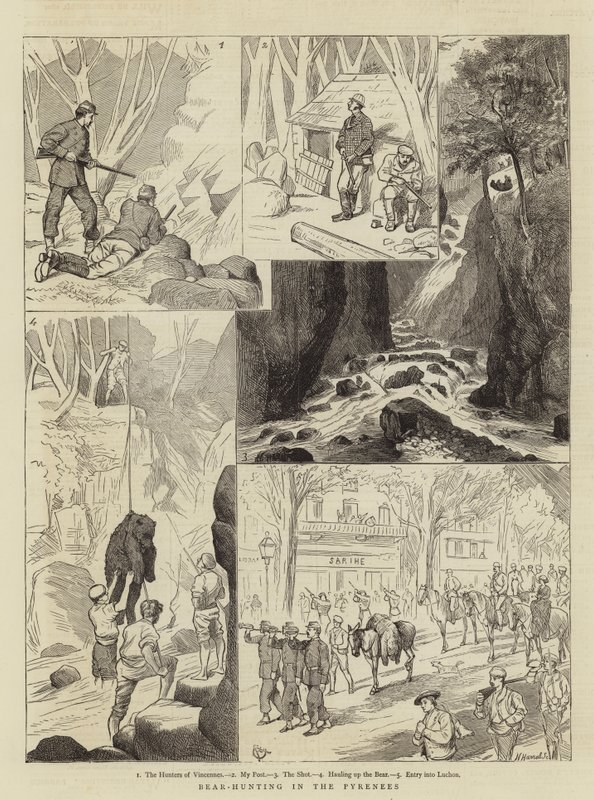 Bärenjagd in den Pyrenäen von Alfred Chantrey Corbould