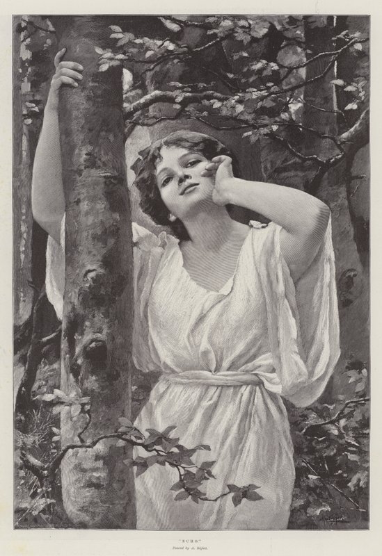 Echo von Alfred Seifert