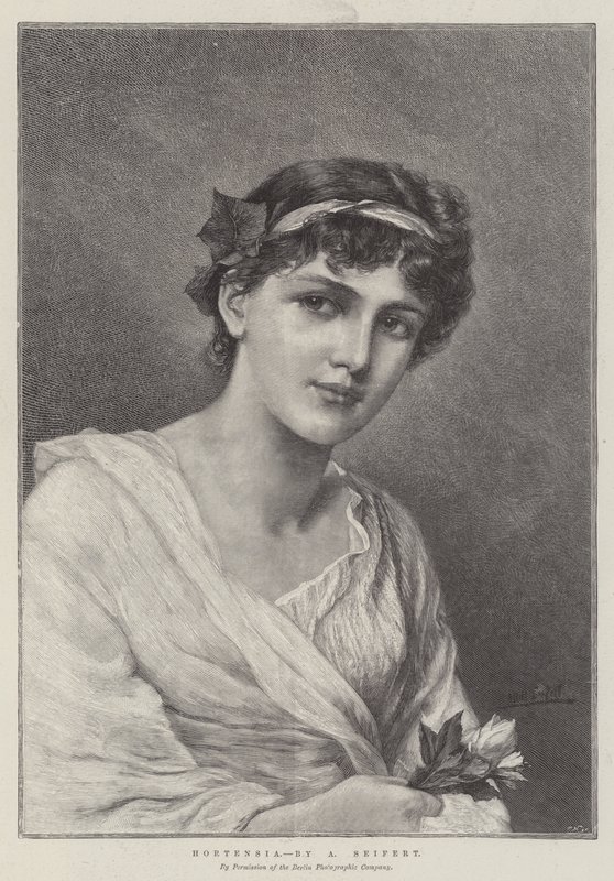 Hortensia von Alfred Seifert
