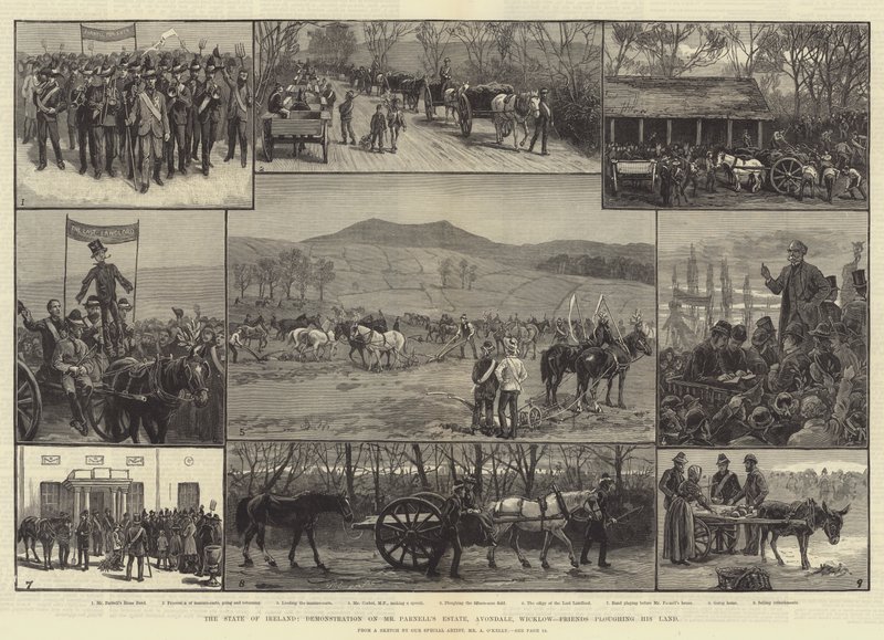 Der Zustand Irlands, Demonstration auf Mr. Parnells Anwesen, Avondale, Wicklow, Freunde pflügen sein Land von Aloysius O
