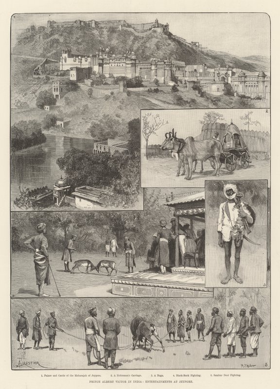 Prinz Albert Victor in Indien, Unterhaltungen in Jeypore von Amedee Forestier