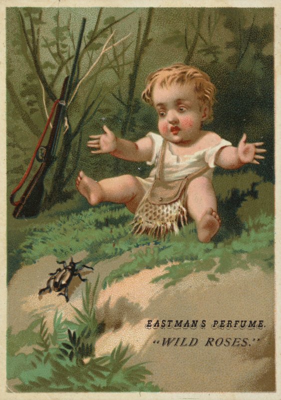 Baby im Wald von American School