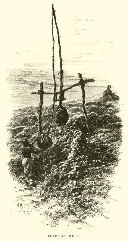 Ägyptischer Brunnen von American School