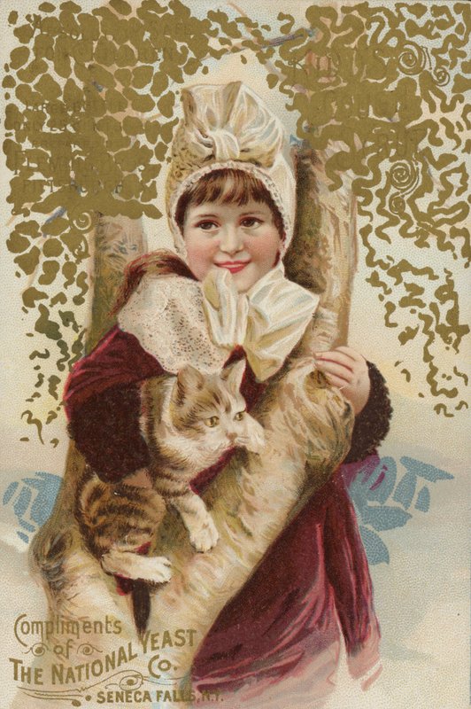 Mädchen kuschelt mit Katze am Baum von American School