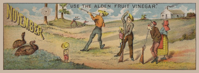 November von American School