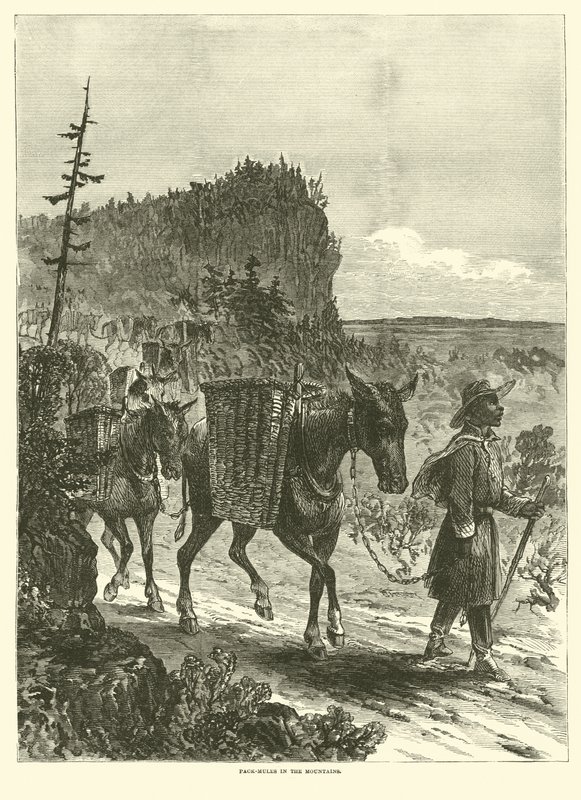 Packesel in den Bergen, Februar 1863 von American School