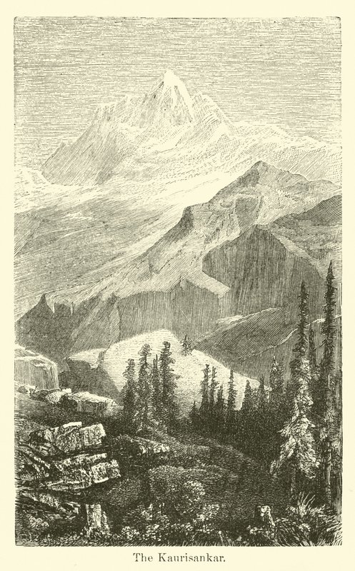 Der Kaurisankar von American School